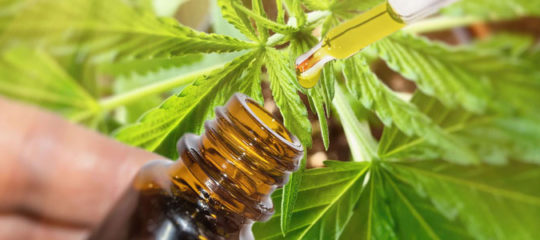 produits à base de CBD